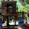 treehouse photo 15